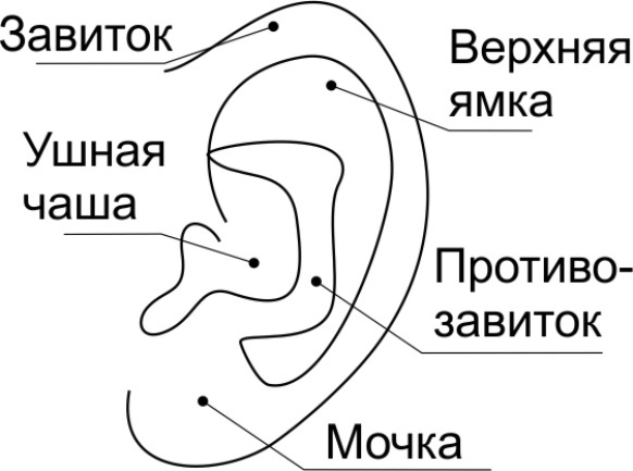 Читай лица! Специальная методика чтения лиц и эмоций