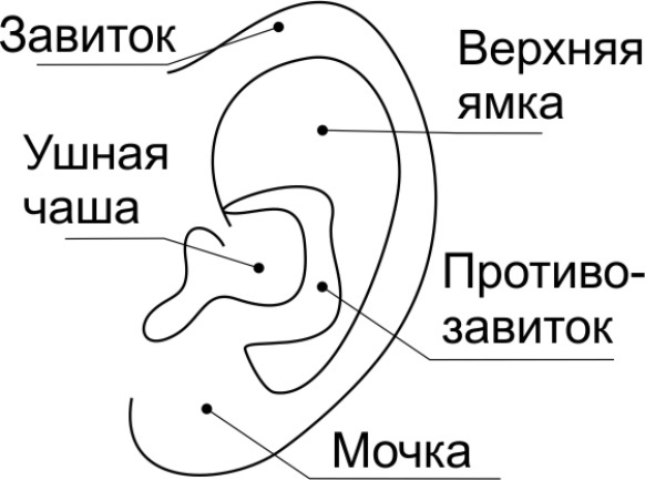 Читай лица! Специальная методика чтения лиц и эмоций