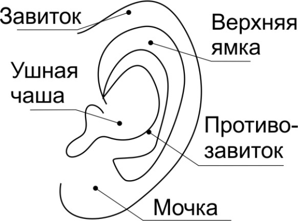 Читай лица! Специальная методика чтения лиц и эмоций