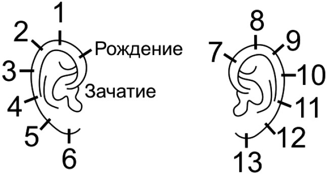 Читай лица! Специальная методика чтения лиц и эмоций