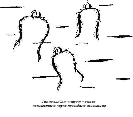 Подводная одиссея. "Северянка" штурмует океан