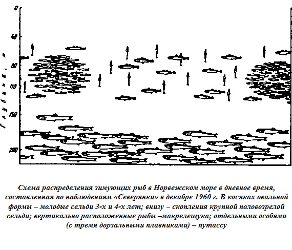 Подводная одиссея. "Северянка" штурмует океан