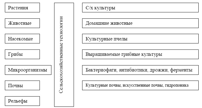 "Дикие карты" будущего. Форс-мажор для человечества