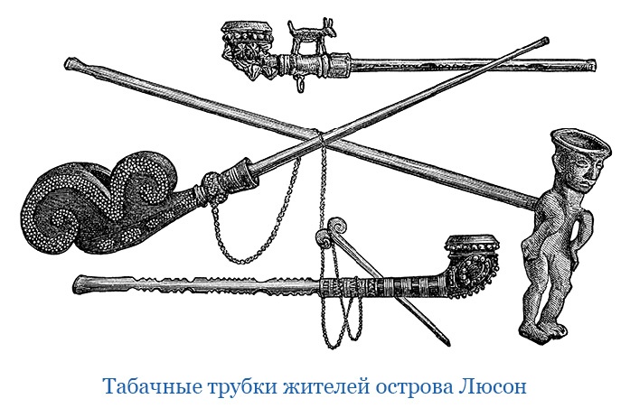 Фрегат «Паллада»