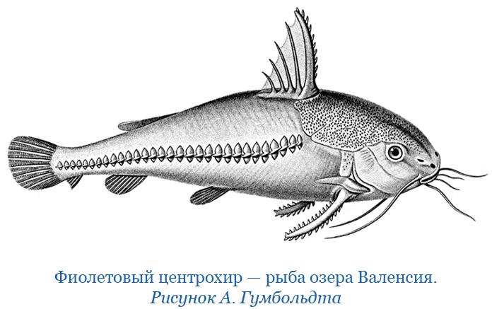 Второе открытие Америки