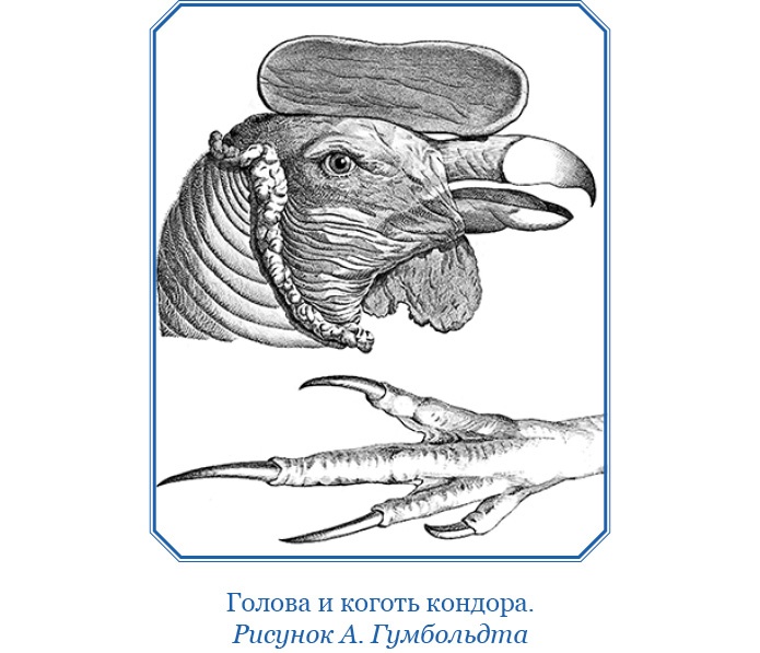 Второе открытие Америки