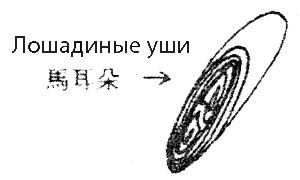 Суп из акульего плавника