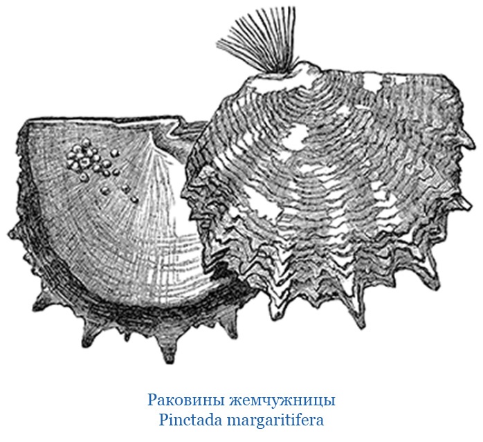 Путешествия. Дневники. Воспоминания