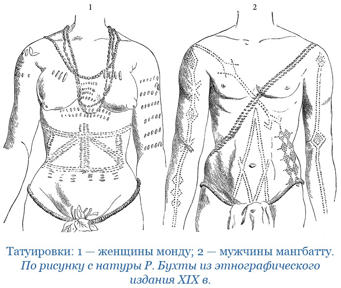 Дневники исследователя Африки