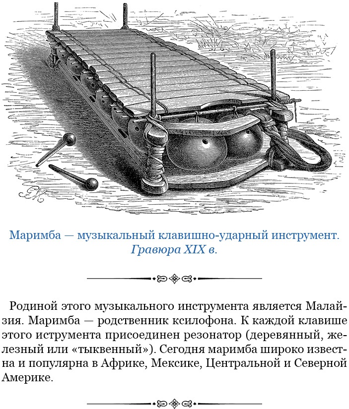 Дневники исследователя Африки