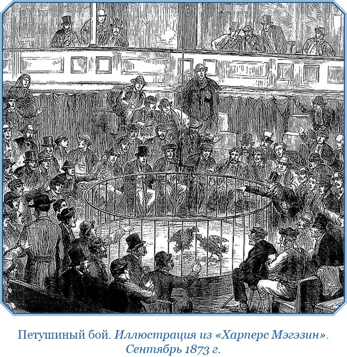 Плавания капитана флота Федора Литке вокруг света и по Северному Ледовитому океану