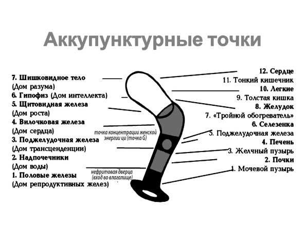 7 минут до оргазма. Книга-тренинг