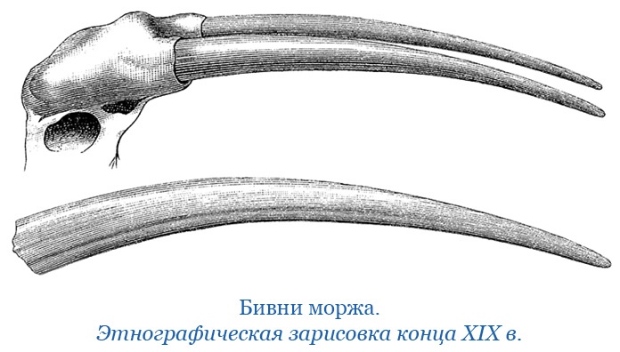 По большому льду. Северный полюс