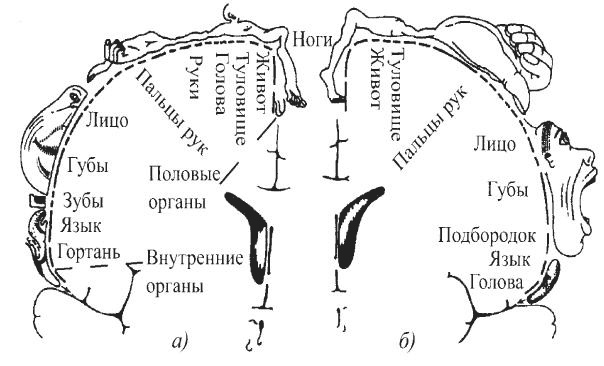 Защити свое тело-4. Настроение здоровья