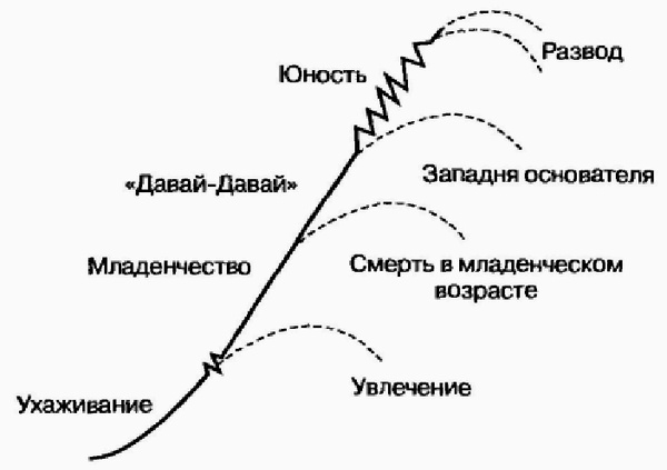 Управление жизненным циклом корпорации