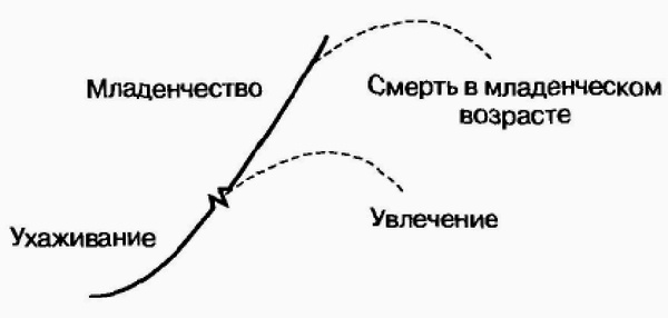 Управление жизненным циклом корпорации