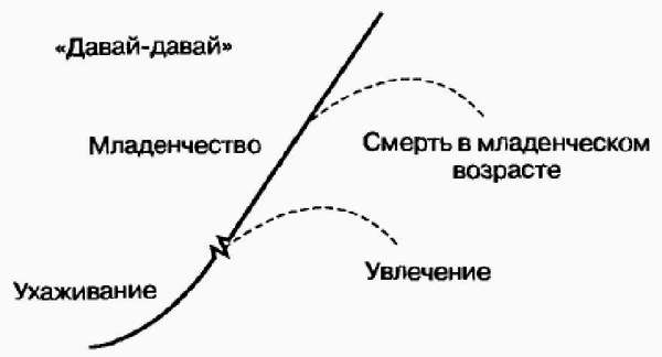 Управление жизненным циклом корпорации