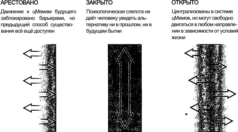 Спиральная динамика. Управляя ценностями, лидерством и изменениями в XXI веке