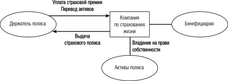 Защита активов и страхование: Что предлагает Швейцария