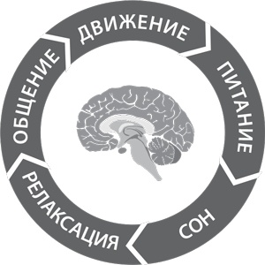 Пять правил выдающейся эффективности. Как достигать главных целей без перегрузок и выгорания