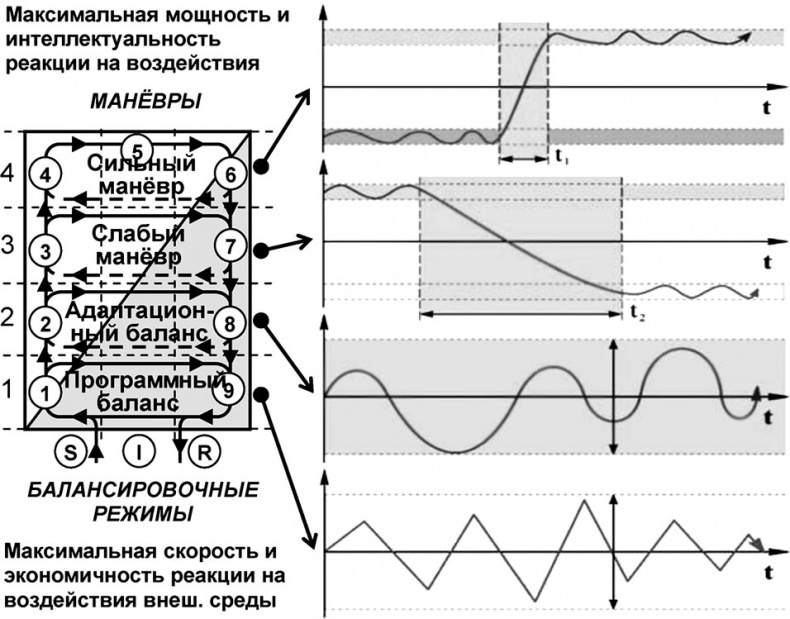 Универсум. Общая теория управления