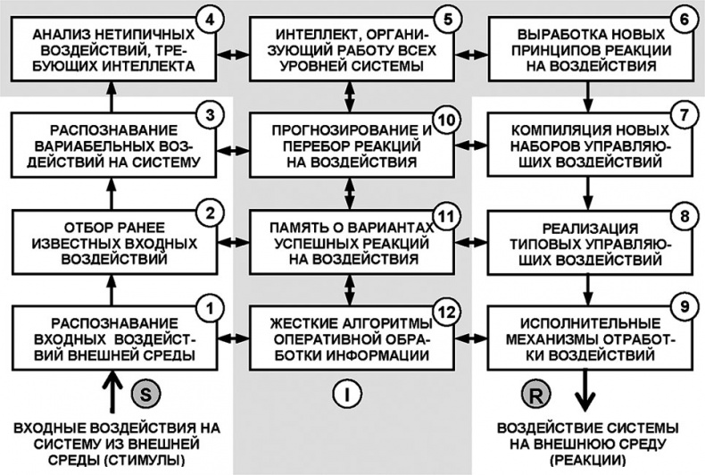 Универсум. Общая теория управления