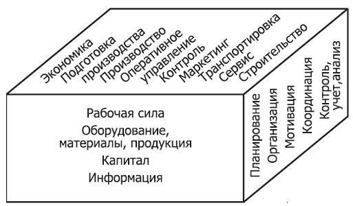 Практика бизнеса. Записки консультанта