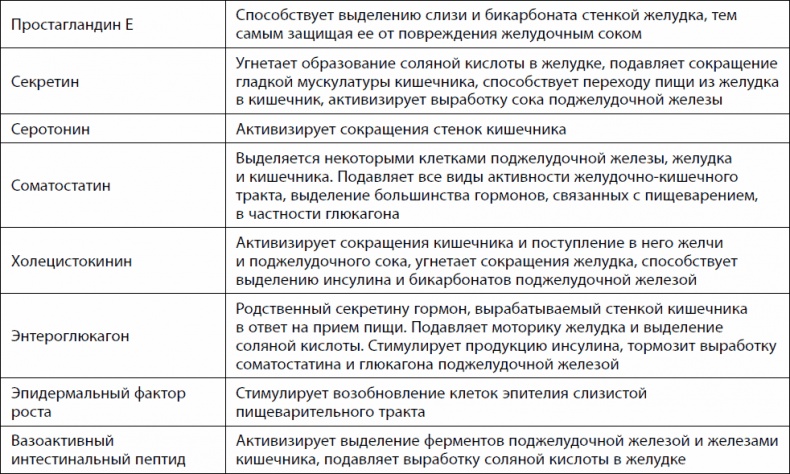 Кишечник долгожителя. 7 принципов диеты, замедляющей старение