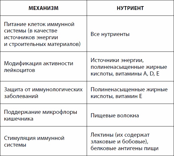 Кишечник долгожителя. 7 принципов диеты, замедляющей старение