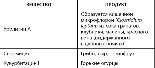 Кишечник долгожителя. 7 принципов диеты, замедляющей старение