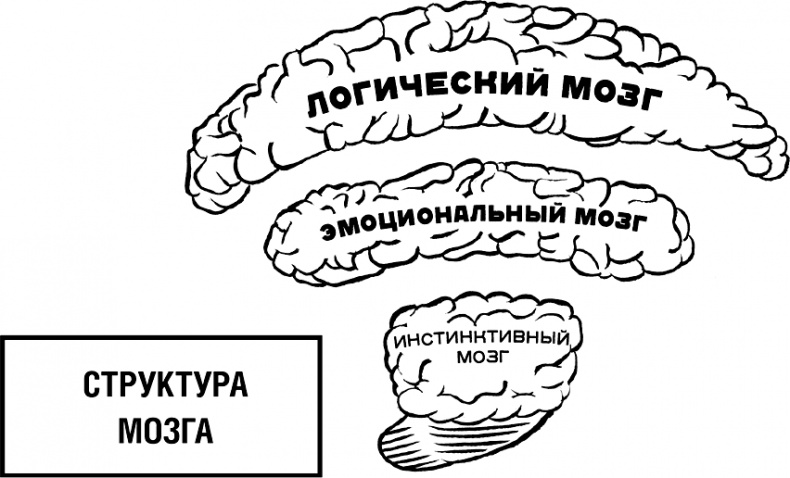 Говори, вдохновляй. Как завоевать доверие слушателей и увлечь их своими идеями