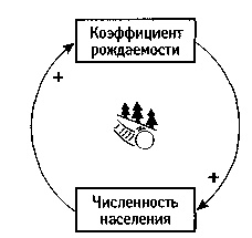 Искусство системного мышления. Необходимые знания о системах и творческом подходе к решению проблем