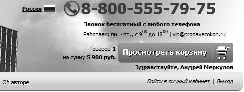 Хакеры с барсетками. Пошаговая инструкция по созданию очереди клиентов из интернета