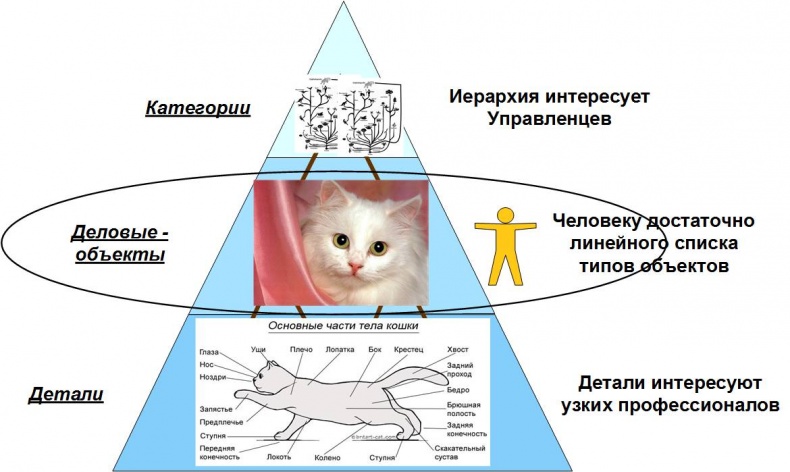 Сервисный компас