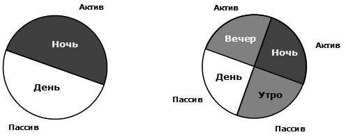 Сервисный компас