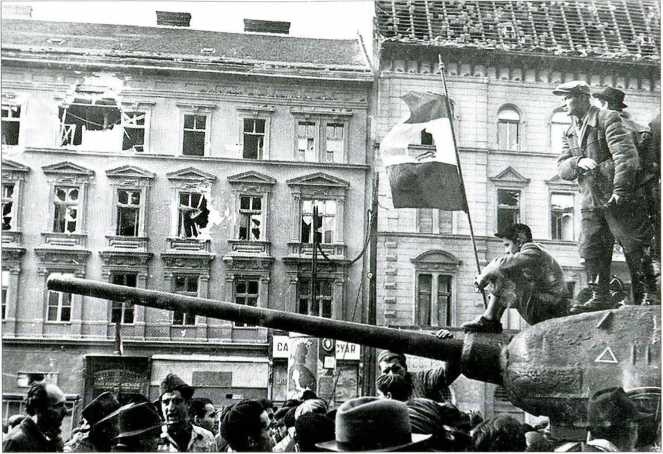 1956. Венгрия глазами очевидца