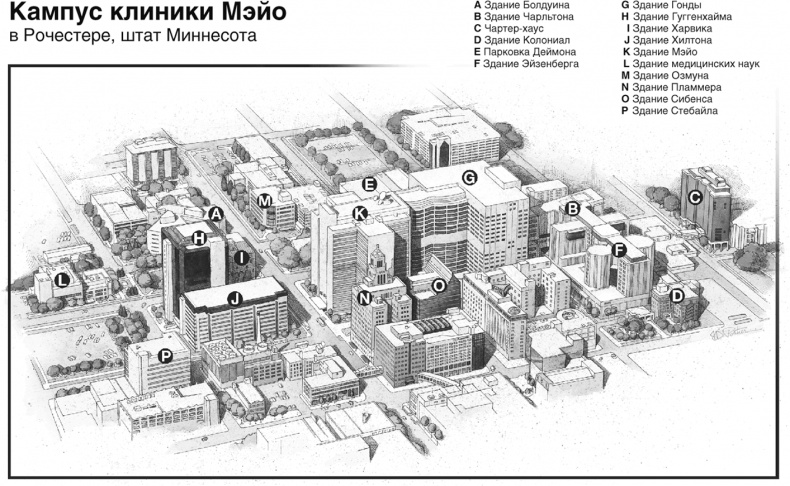 Практика управления Mayo Clinic. Уроки лучшей в мире сервисной организации