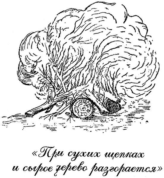 100 уроков лидерства А.В. Суворова для бизнеса