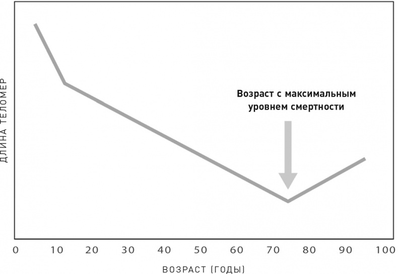 Эффект теломер. Революционный подход к более молодой, здоровой и долгой жизни