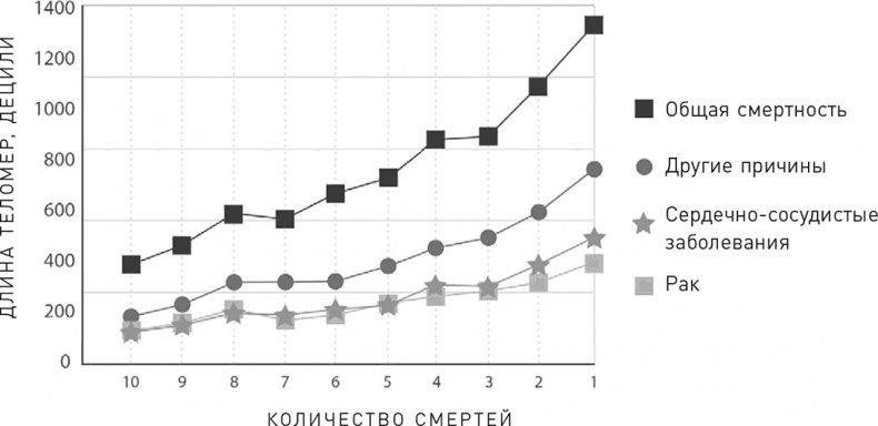 Эффект теломер. Революционный подход к более молодой, здоровой и долгой жизни