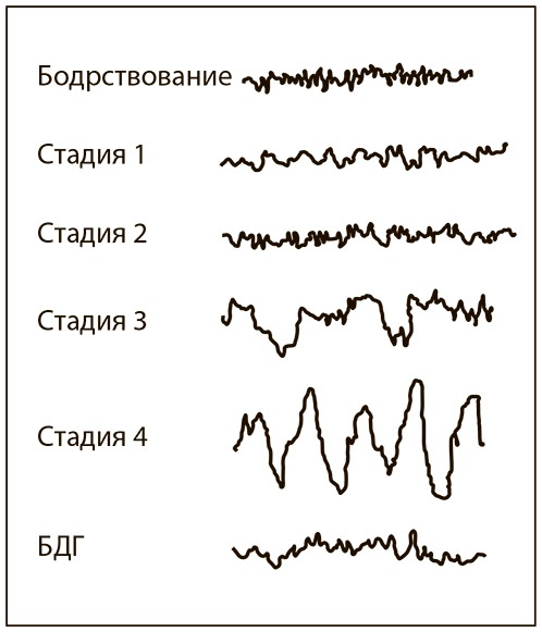 Всегда вовремя