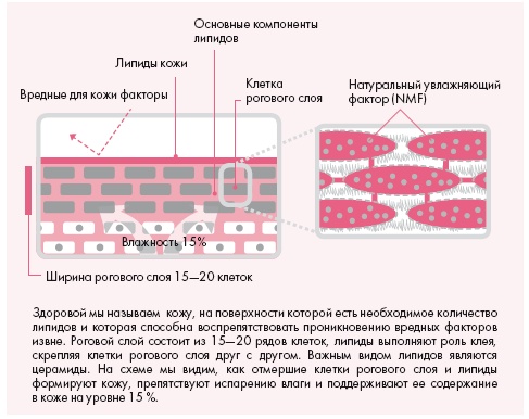 Корейская философия красоты. Smart-подход для идеальной кожи без дорогостоящих вложений