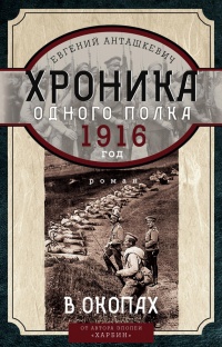 Книга В окопах. 1916 год. Хроника одного полка