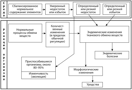 Микроэлементы. Бодрость, здоровье, долголетие