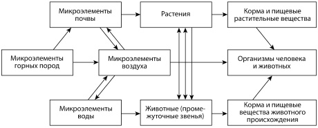 Микроэлементы. Бодрость, здоровье, долголетие