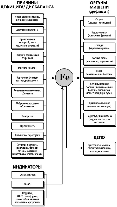 Микроэлементы. Бодрость, здоровье, долголетие