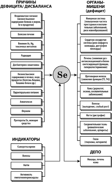 Микроэлементы. Бодрость, здоровье, долголетие