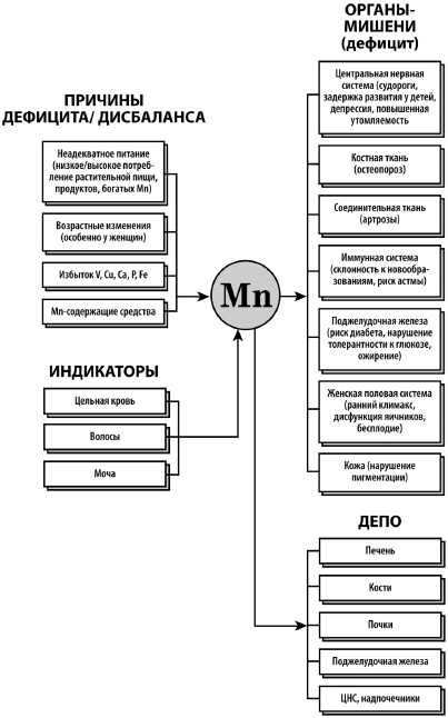 Микроэлементы. Бодрость, здоровье, долголетие