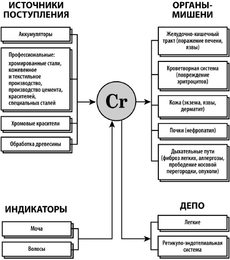 Микроэлементы. Бодрость, здоровье, долголетие