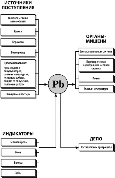 Микроэлементы. Бодрость, здоровье, долголетие